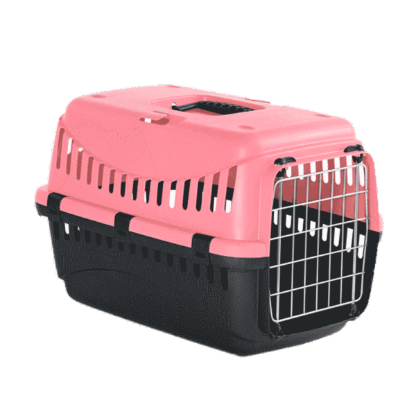 Cage de Transport Gipsy Large (L: 58cm, L: 38cm, H: 38cm)